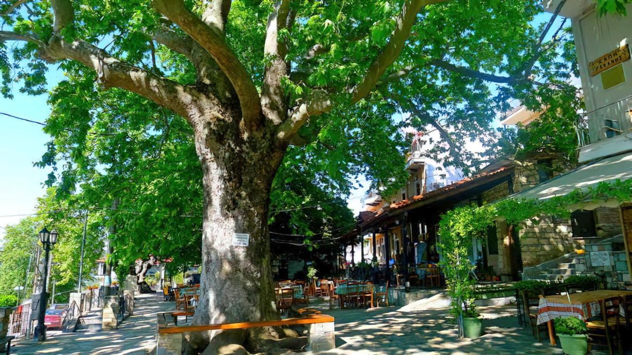Rapsani Panorama Villa Exterior photo